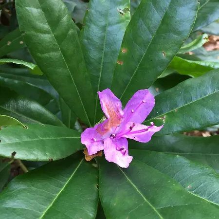 בית נופש La Maison De Rejane
